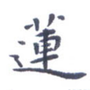 莲