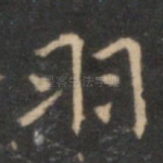 羽