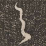 与