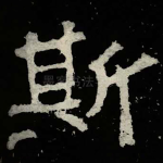 斯