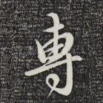 专