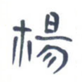 杨