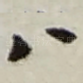 八