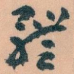 體