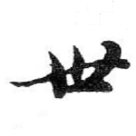 世
