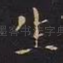 生