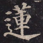 莲