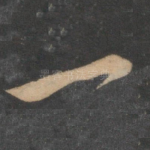 一