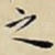 之