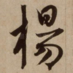 杨