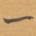 一