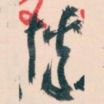 博