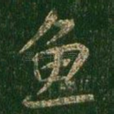 鱼
