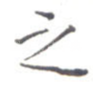 之