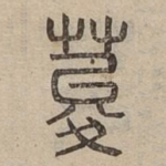 荾