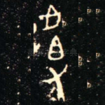 揸