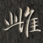 雌