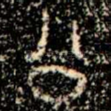 公