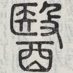 医