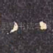 八