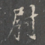 尉