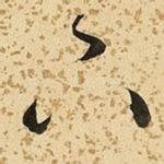 下