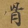 骨
