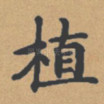 植