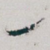 一