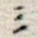 三