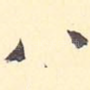 八