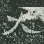 大