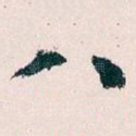 八