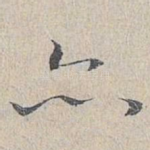 亦