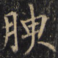 腴