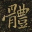 体