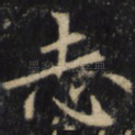 志