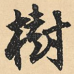 树