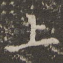 上