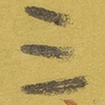 三