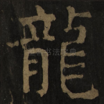 龙