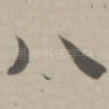 八