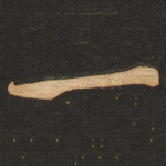 一