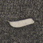 一
