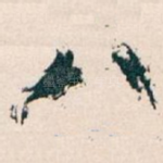 八