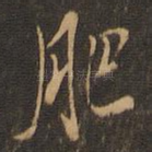 肥
