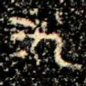 九