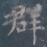 群