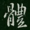 体