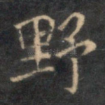 野